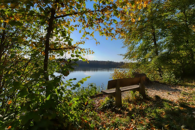 决胜因素却 决胜因素却